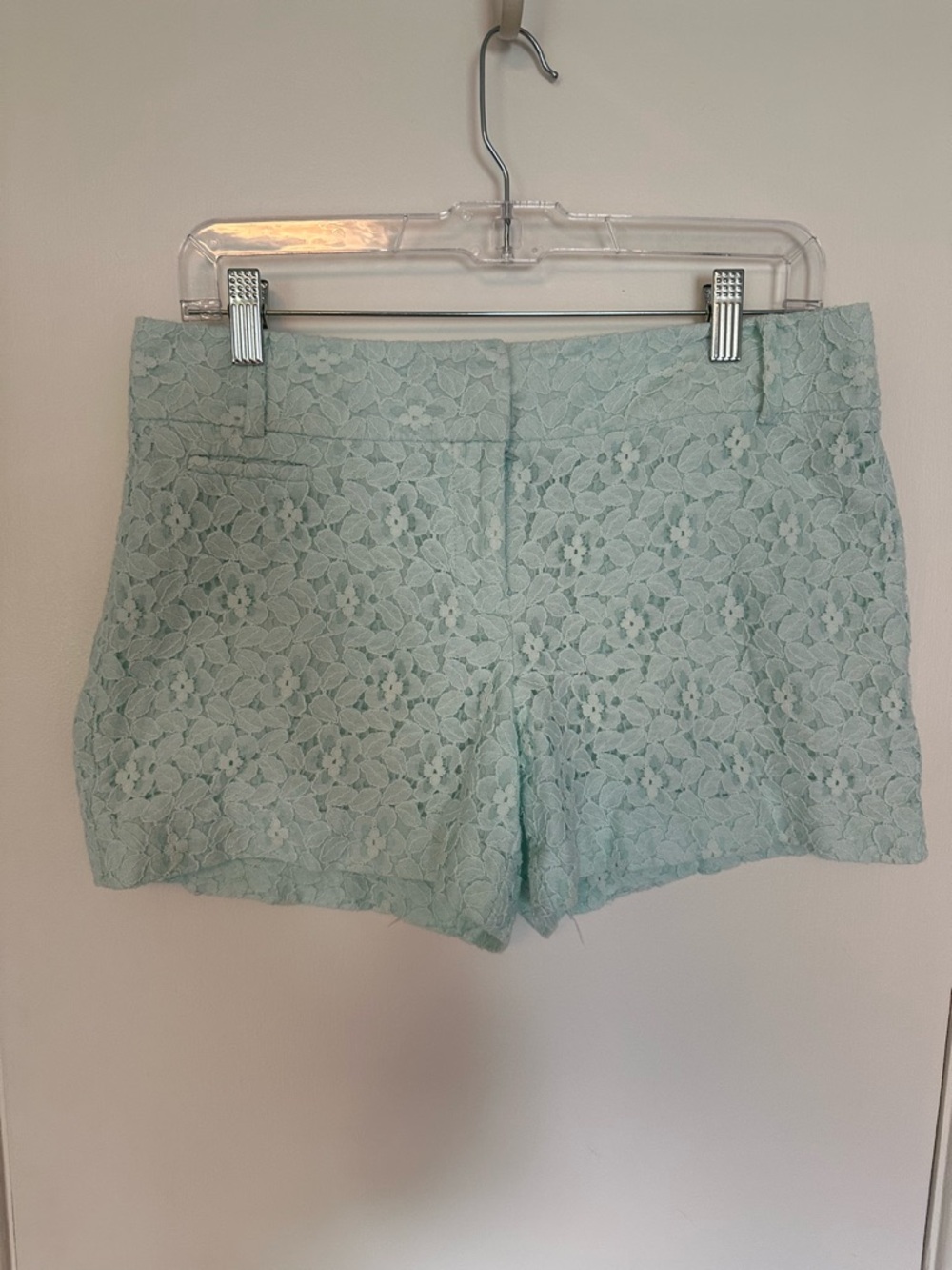LOFT Mint Lace High-Waist Women's Shorts